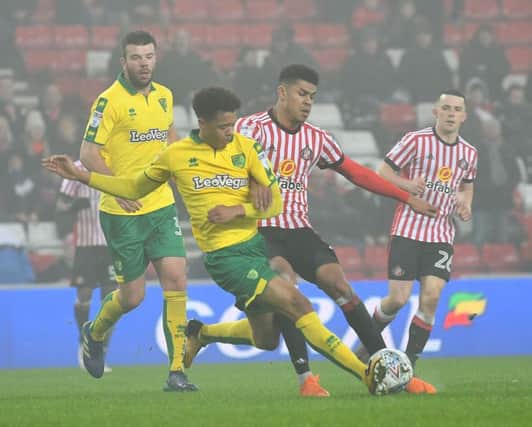 Ashley Fletcher scraps against Norwich in Sunderland's 1-1 draw on Tuesday. Picture by Frank Reid
