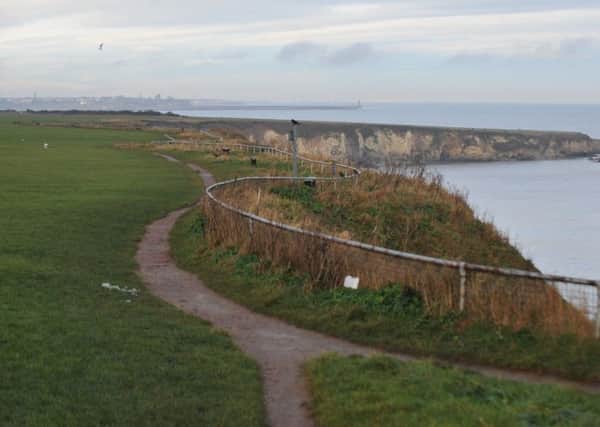 The cliffs at Marsden Bay.