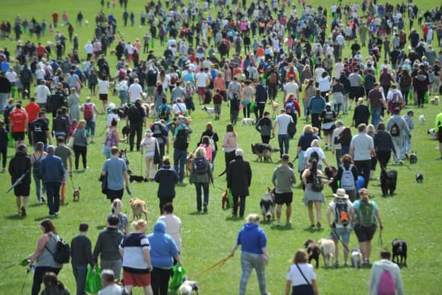 Great North Dog Walk competitors taking part in the annual event held on The Leas, South Shields.