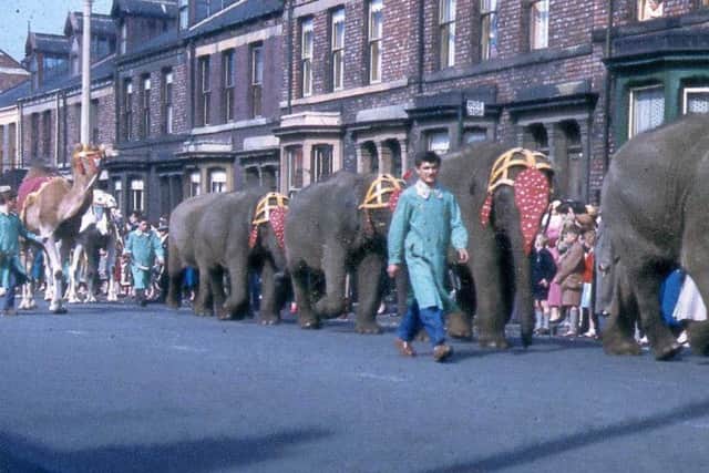Elephants and camels parading through town.