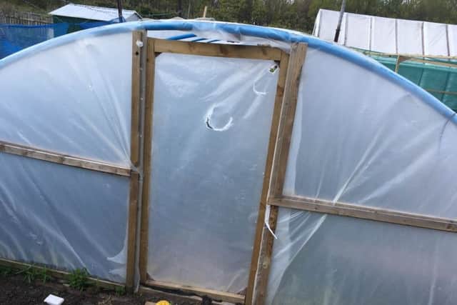 Damage caused by vandals at South Drive allotments in Hebburn.