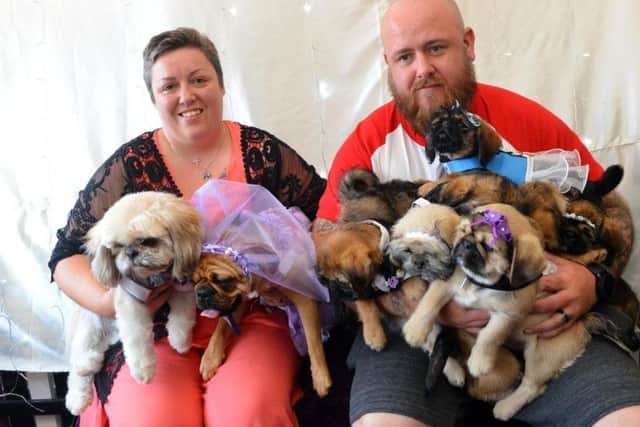 Shih tzu Buddy and puggle Lilly with their owners Helen and Peter Stoker and their puppies.