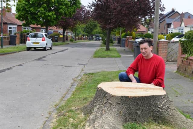 Central Avenue trees being cut down. Resident Graham Shewan