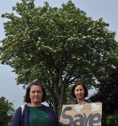 Tree protestors Rachael Milne and Jules Napier.