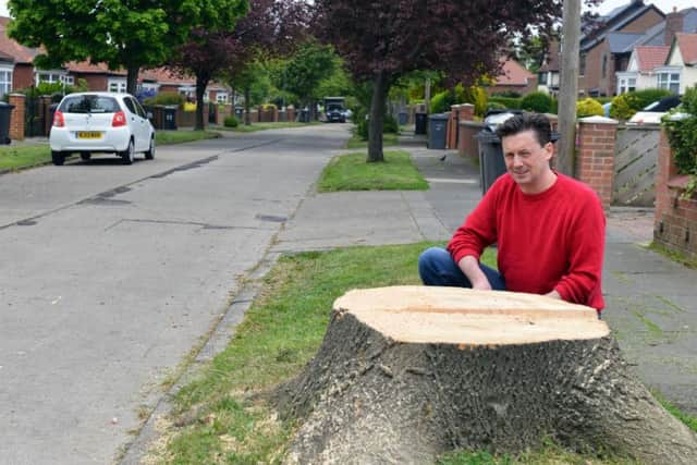 Resident Graham Shewen with a cut down tree in Central Avenue, South Shields.