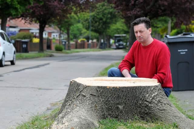 Central Avenue trees being cut down. Resident Graham Shewan.